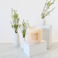 Load image into Gallery viewer, RETROGRADE Hand Poured Candle. Wood Wick. Elemi Resin. Lit Matches. Unrefined Beeswax. Big Leaf Mahogany. 14 oz. Blush Peach Matte. Large.