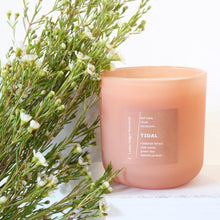 Load image into Gallery viewer, TIDAL Hand Poured Candle. Calabrian Lemon. Green Lilac. Jade Water. Spanish Juniper. 14 oz. Deep Peach Matte. Large.