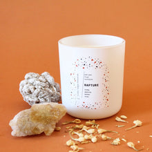 Load image into Gallery viewer, RAPTURE Hand Poured Candle. Tonka. Cocoa Butter. Jasmine. Olive Wood. Wood Wick. 12 oz. Matte White.