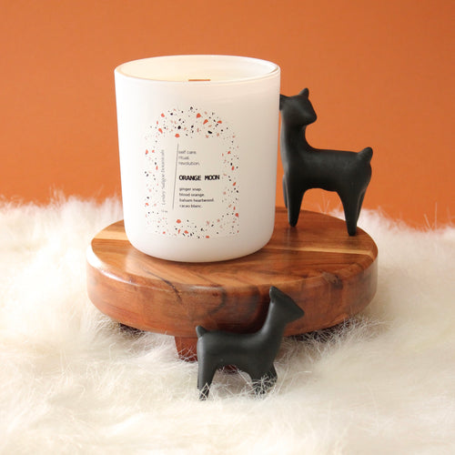 ORANGE MOON Hand Poured Candle. Blood Orange. Ginger Snap. Cacao Blanc. Wood Wick. 12 oz. Matte White.